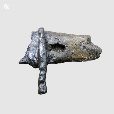 Kolec gwoździa żelaznego, Gniezno, wczesne średniowiecze
